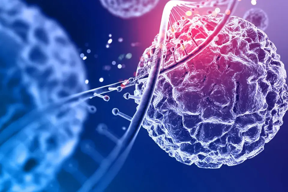 Иллюстрация фермента