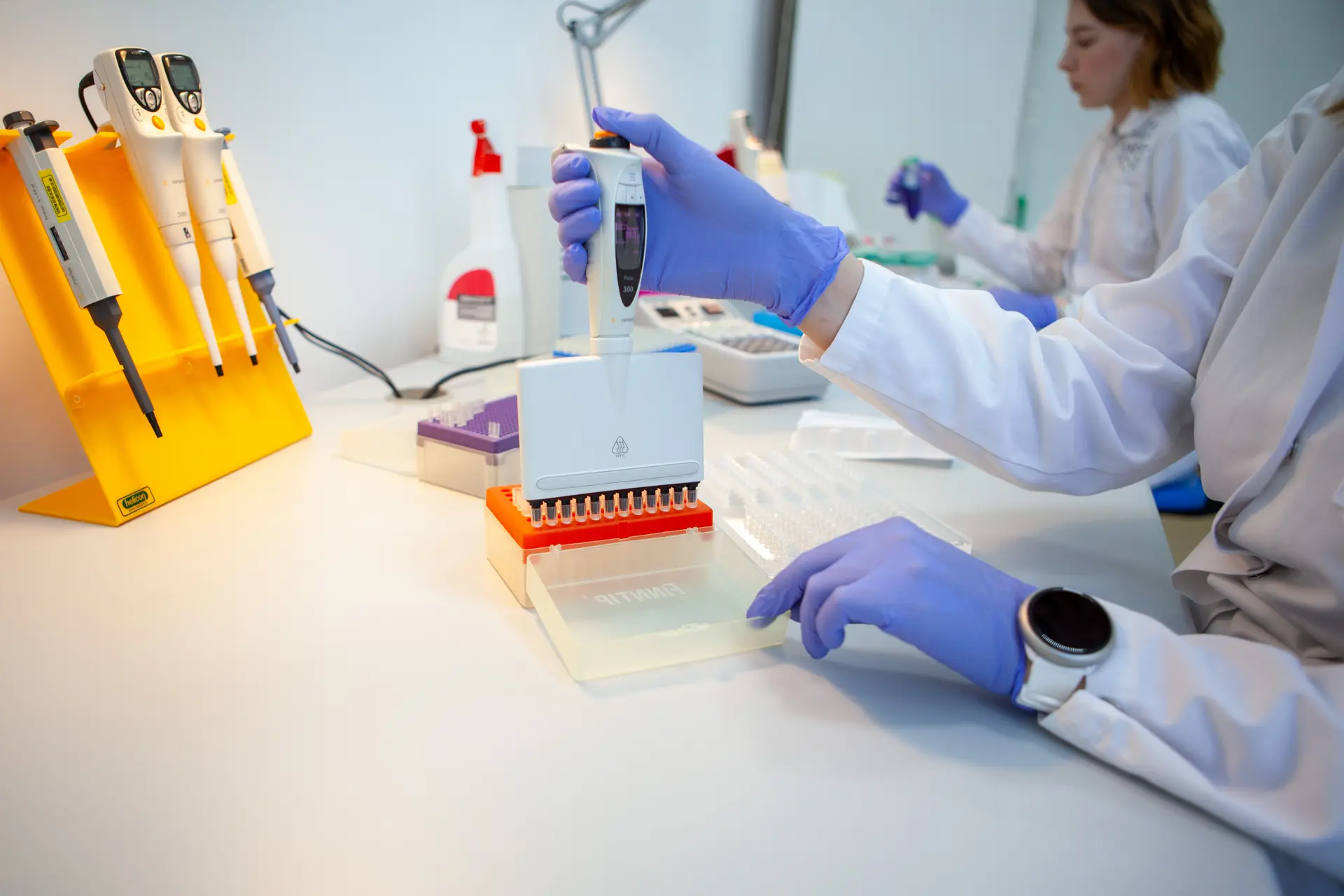 Лаборатория, где проводится ПЦР тестирование